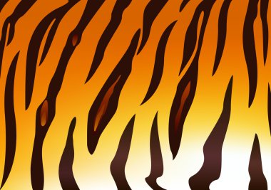 Ayrıntı kaplan deri desen