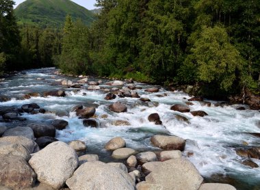 Alaskan Nehri