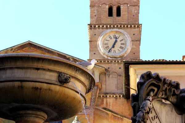 Piazza Santa Maria in Trastevere - Rome Italy — Stock Photo, Image