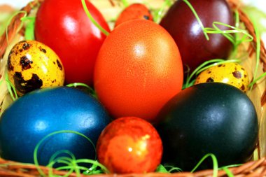 Paskalya yumurtaları