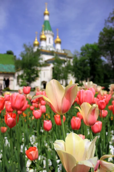 Rus Kilisesi Saint Nicholas Wonderworker Sofya, Bulgaristan