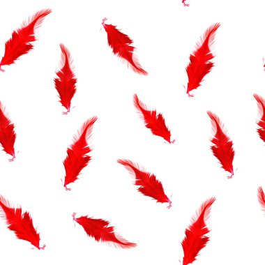 gerçekçi tüyler ile Seamless Modeli