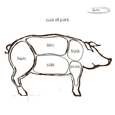 Domuz eti keser. Vintage tarzı kasap için diyagram. Öğeler için menü, banner. Vektör çizim.