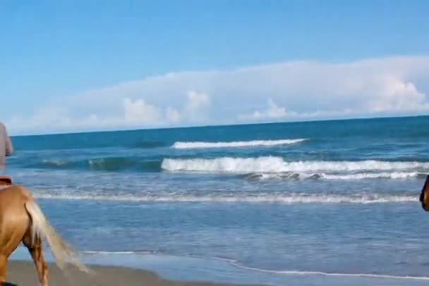アドリア海イタリア — ストック動画
