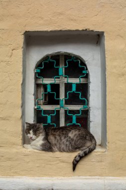 Arka planda uyuyan sokak kedisi ve klasik pencere var. Suzdal, Rusya.