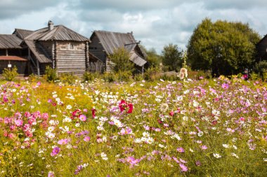 Arka planda eski ahşap evleri ve ön planda kırsal çiçekleri olan çayır manzarası.