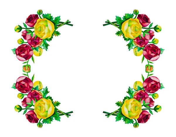 Квіткова Рамка Колаж Зроблений Рук Намальованого Акварелі Квітів Ранункулюса Білому — стокове фото