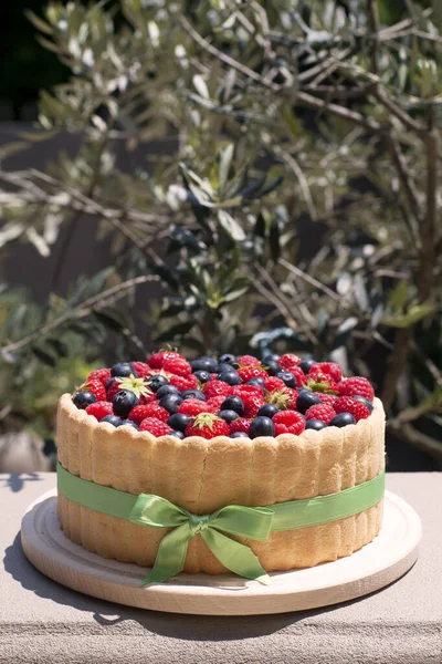 Homemade charlotte cake with berries. Sponge cake is used to line a mold.