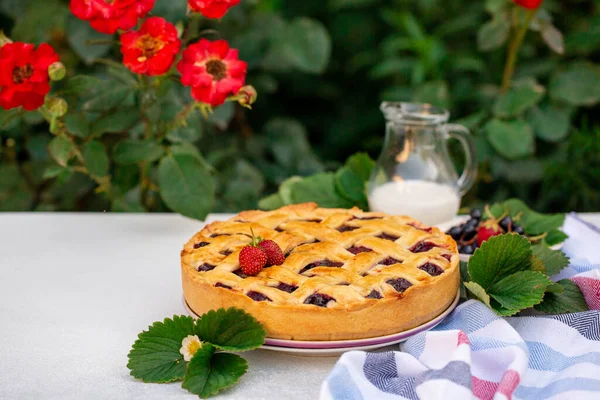 Tarta Fresa Grosella Negra Bayas Frescas Leche Jardín Copiar Espacio — Foto de Stock