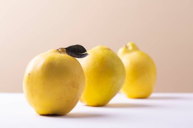 A group of  quince apples on white table and beige background.  Selective focus, diagonal composition. clipart