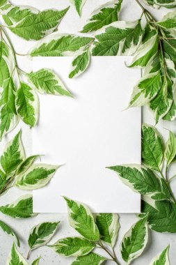 Yeşil ve beyaz yapraklar arasında beyaz dikdörtgen metin kutusu.