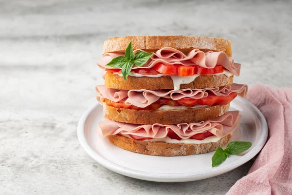 Delicioso Sanduíche Deli Italiano Com Mortadela Queijo Mole Stracchino Tomate — Fotografia de Stock