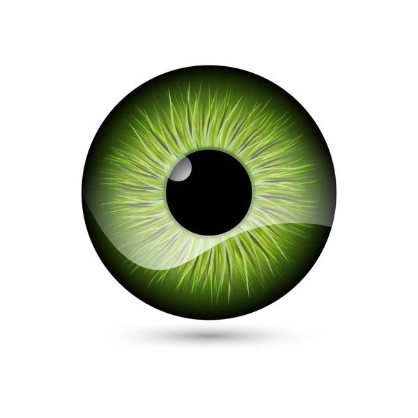 Occhio Verde Umano Realistico — Vettoriale Stock