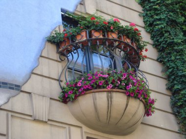 balkon çiçek içinde evin üzerinde