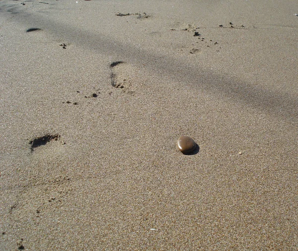 Spår av människor på en sandstrand — Stockfoto