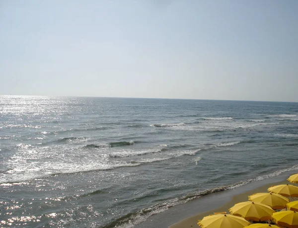 Kumsal ve dalgalar denizlerde