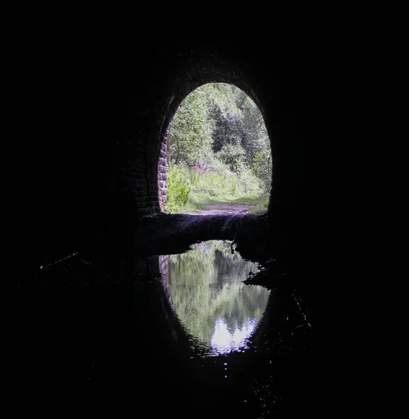 Güneş tarafından aydınlatılan tonik tonikten doğaya doğru. Bir su birikintisinde çıkışın yansıması