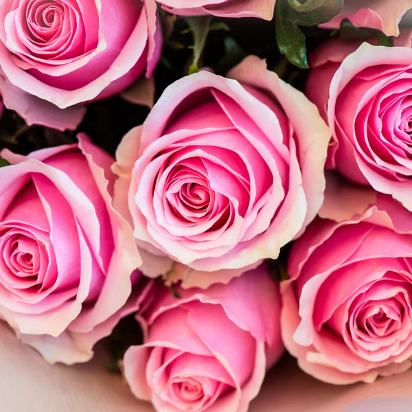 Букет красивых розовых роз — стоковое фото