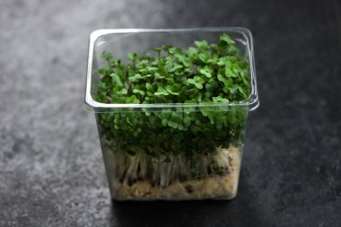 Plastik konteyner üzerinde taze tere salatası