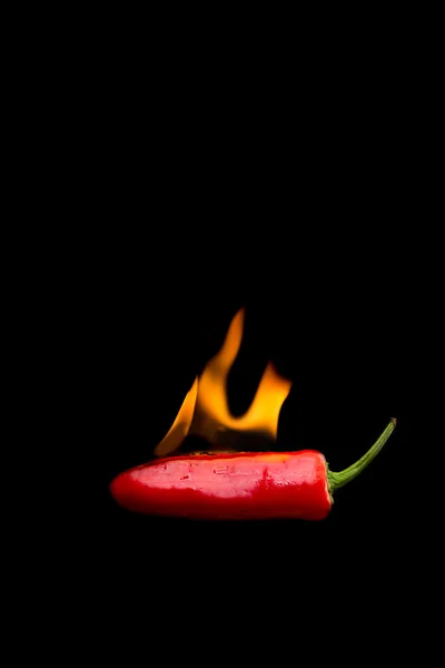 Pimenta vermelha do pimentão quente no fogo — Fotografia de Stock