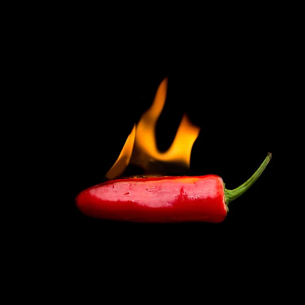 Red Hot Chili Pepper в огне — стоковое фото