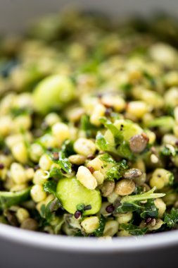 Wheatberries ve Yeşil Sebzeler ile Sağlıklı ve Herby Salatası