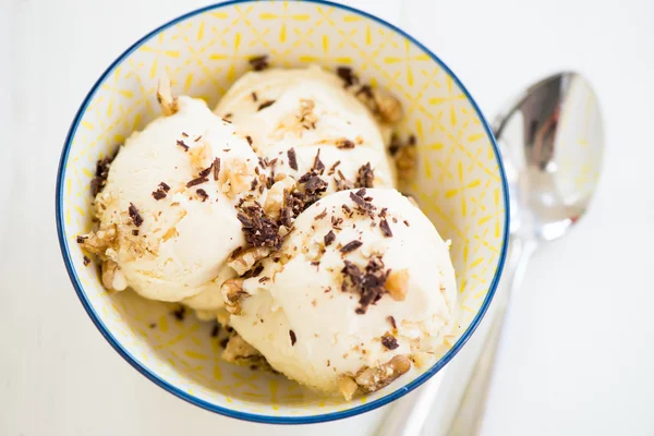 Homemade Vanilla Ice-Cream Stock Picture