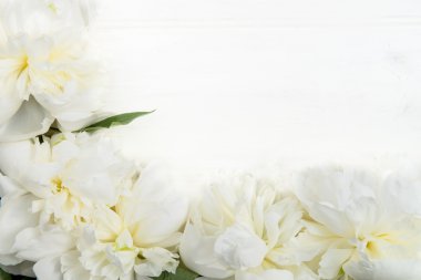 Şakayık ve Yapraklarından Çerçeve