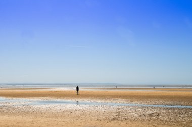 Crosby Beach yakınındaki Liverpool, İngiltere,