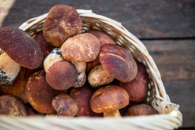 Taze mantar Boletus sepete aldı
