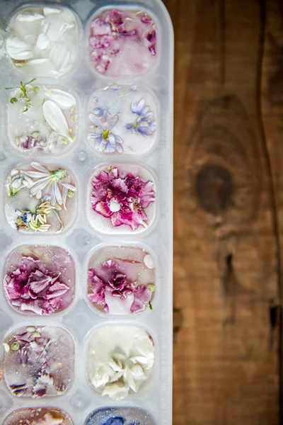 Bakke med frosne blomster i isterninger - Stock-foto