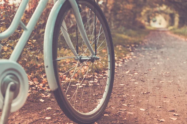 Vintage Gerahmtes Fahrrad Mit Korbständer Herbstlicher Umgebung Radfahren Auf Dem — Stockfoto