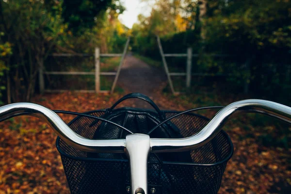 Sonbahar ormanında eski bir bisiklet — Stok fotoğraf