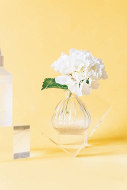 Akrilik Somut Görünüm Blokları