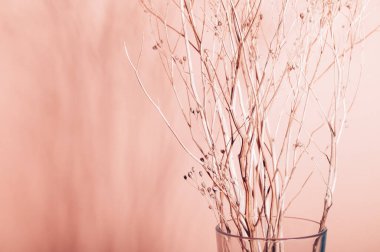 Kuru çiçeklerden ya da dallardan dekorasyon