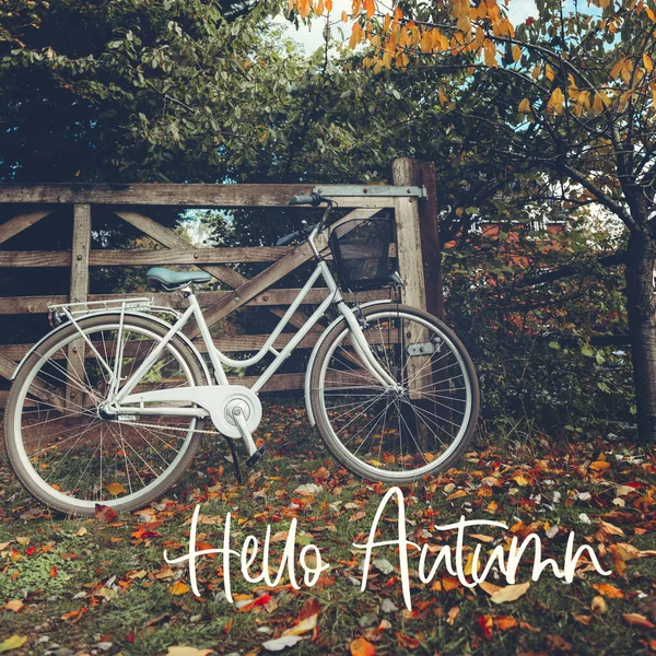 Hallo Herbst Text Postkartenkonzept Vintage Gerahmtes Fahrrad Mit Korbständer Herbstlicher — Stockfoto