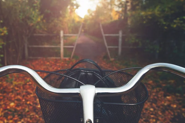 Vintage Gerahmte Fahrrad Mit Korb Stehen Herbstlicher Umgebung Radfahren Auf — Stockfoto