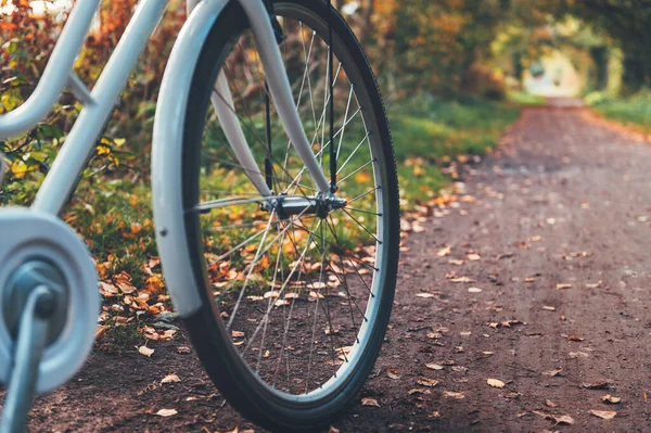 Vintage Framed Bicycle Basket Standing Autumn Surroundings Countryside Cycling Enjoying — Stock Photo, Image