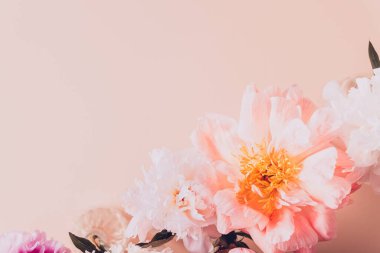 Yukarıdan çekilen şakayıklar