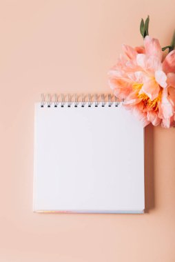 Rüya yazmak için defteri aç