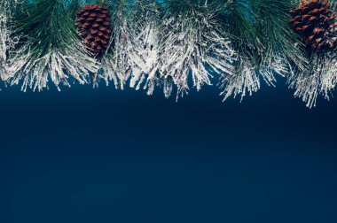 Çerçeve olarak Noel Ağacı Dalları