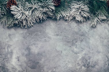 Çerçeve olarak Noel Ağacı Dalları