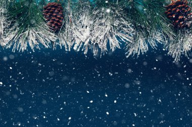 Çerçeve olarak Noel Ağacı Dalları