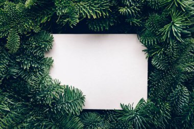 Xmas ağaç dallarından maket