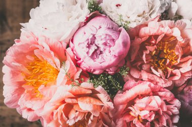 İnanılmaz Taze pembe şakayıklar