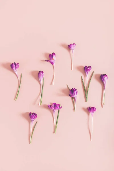 Diseño de flores de azafrán — Foto de Stock