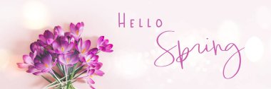 Crocus çiçeklerinin yerleşimi