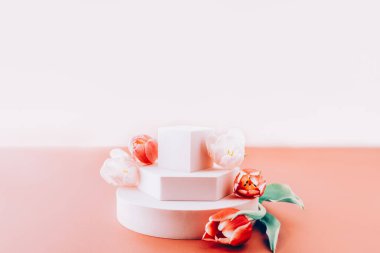 Solid Görünüm Bloğu