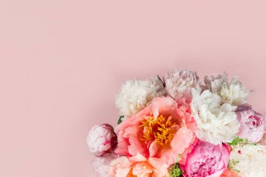 İnanılmaz Taze pembe şakayıklar