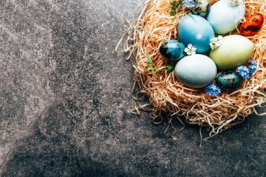 Ev yapımı pastel renkte doğal boyanmış yumurtalar.